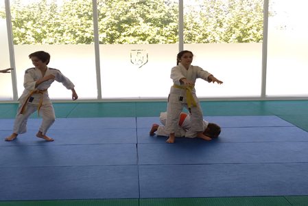 judoweb