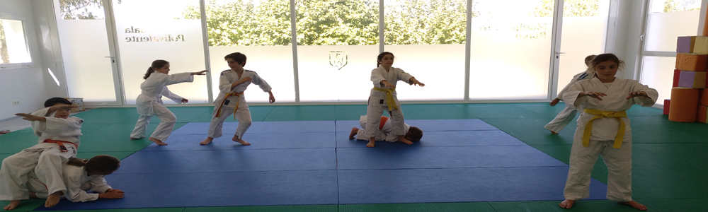 judoweb