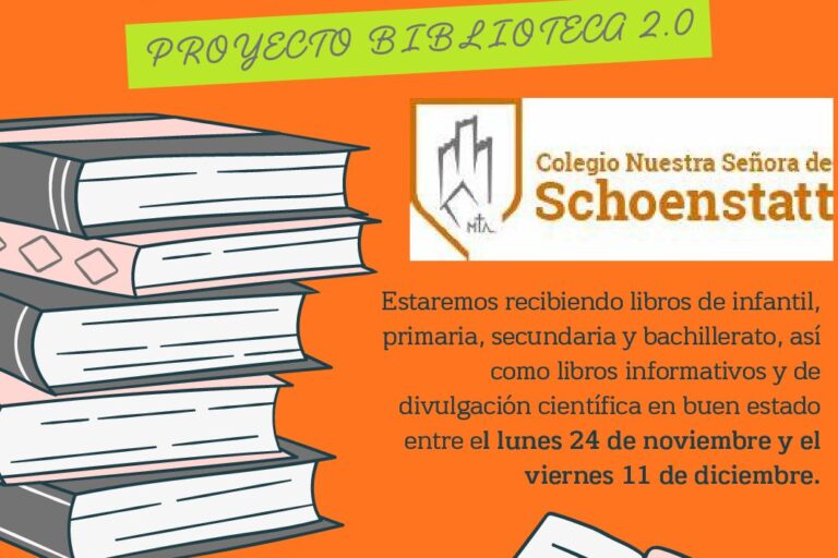 Flyer Volante Colecta de Libros Ilustrado Juvenil Rosa y Verde